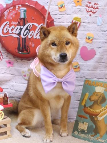 20230923シヴァくん